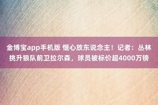 金博宝app手机版 惬心放东说念主！记者：丛林挑升狼队前卫拉尔森，球员被标价超4000万镑