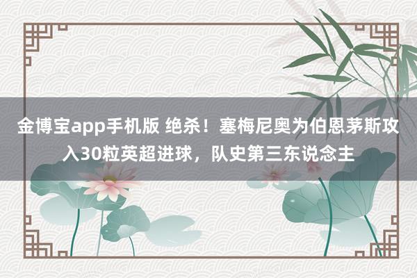金博宝app手机版 绝杀！塞梅尼奥为伯恩茅斯攻入30粒英超进球，队史第三东说念主