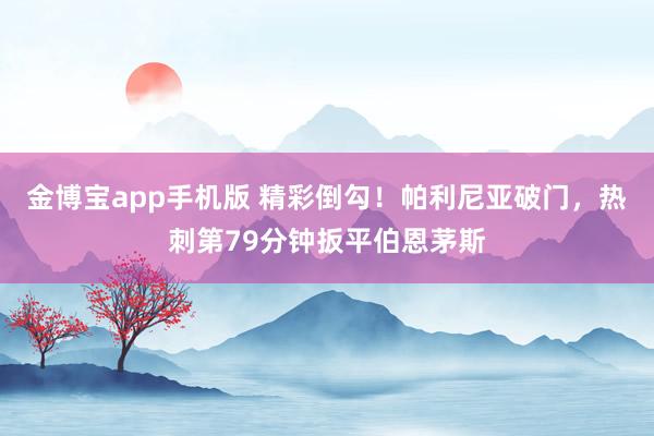 金博宝app手机版 精彩倒勾！帕利尼亚破门，热刺第79分钟扳平伯恩茅斯