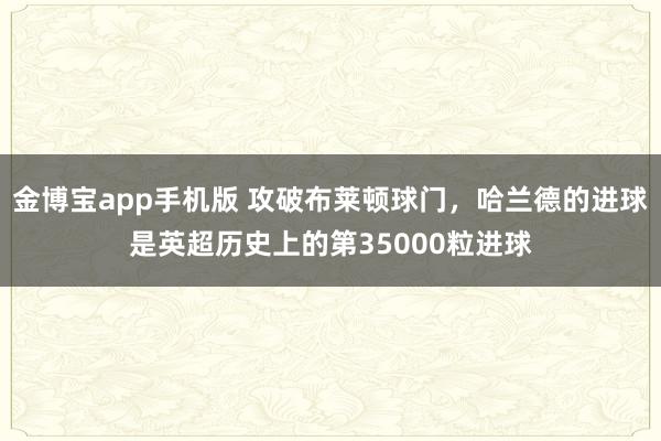 金博宝app手机版 攻破布莱顿球门，哈兰德的进球是英超历史上的第35000粒进球