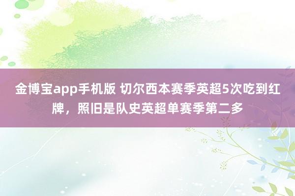 金博宝app手机版 切尔西本赛季英超5次吃到红牌，照旧是队史英超单赛季第二多