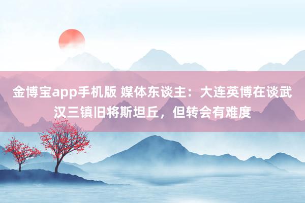 金博宝app手机版 媒体东谈主：大连英博在谈武汉三镇旧将斯坦丘，但转会有难度