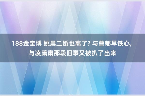188金宝博 姚晨二婚也离了? 与曹郁早铁心， 与凌潇肃那段旧事又被扒了出来