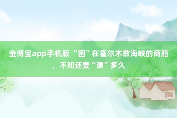 金博宝app手机版 “困”在霍尔木兹海峡的商船，不知还要“漂”多久