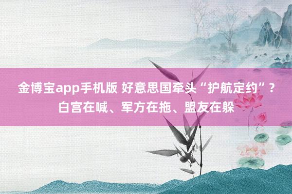 金博宝app手机版 好意思国牵头“护航定约”？白宫在喊、军方在拖、盟友在躲