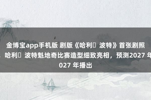 金博宝app手机版 剧版《哈利・波特》首张剧照曝光，哈利・波特魁地奇比赛造型细致亮相，预测2027 年播出