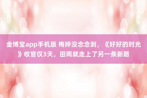 金博宝app手机版 梅婷没念念到，《好好的时光》收官仅3天，田雨就走上了另一条新路