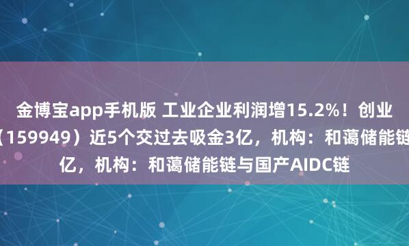 金博宝app手机版 工业企业利润增15.2%！创业板50ETF华安（159949）近5个交过去吸金3亿，机构：和蔼储能链与国产AIDC链