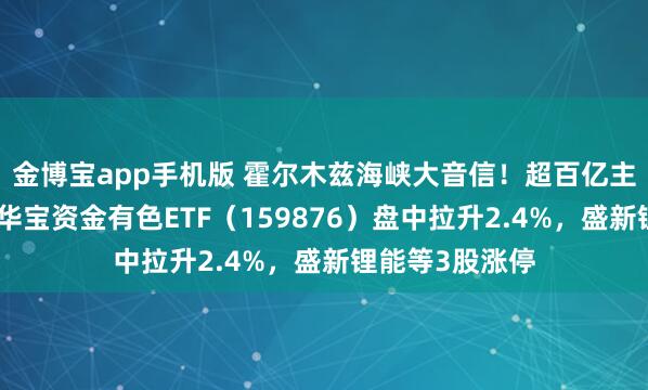 金博宝app手机版 霍尔木兹海峡大音信！超百亿主力资金爆买！华宝资金有色ETF（159876）盘中拉升2.4%，盛新锂能等3股涨停