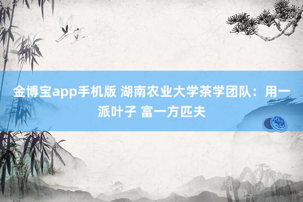 金博宝app手机版 湖南农业大学茶学团队：用一派叶子 富一方匹夫