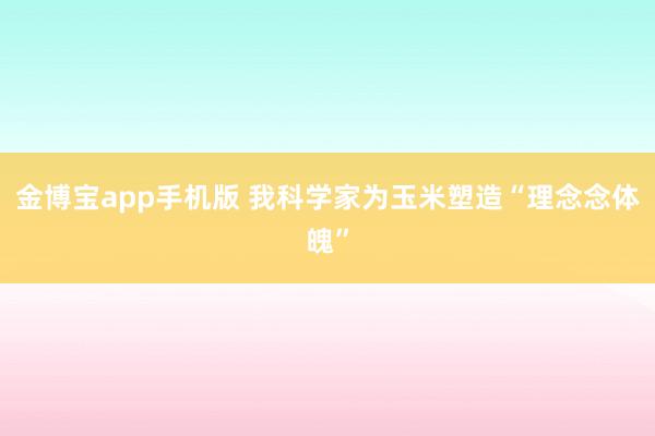 金博宝app手机版 我科学家为玉米塑造“理念念体魄”
