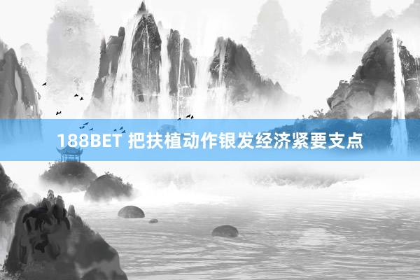 188BET 把扶植动作银发经济紧要支点