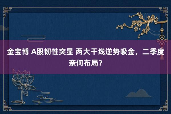 金宝博 A股韧性突显 两大干线逆势吸金，二季度奈何布局？