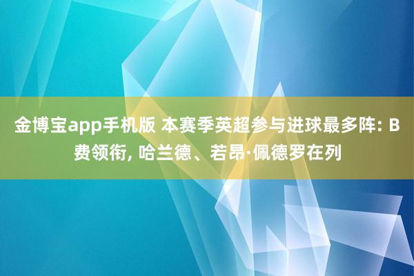 金博宝app手机版 本赛季英超参与进球最多阵: B费领衔, 哈兰德、若昂·佩德罗在列