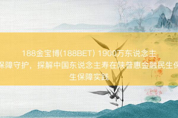 188金宝博(188BET) 1900万东说念主背后的保障守护，探解中国东说念主寿在陕普惠金融民生保障实践