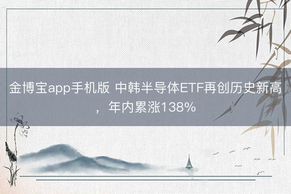 金博宝app手机版 中韩半导体ETF再创历史新高,年内累涨138%