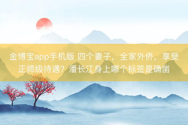 金博宝app手机版 四个妻子，全家外侨，享受正师级待遇？潘长江身上哪个标签是确凿