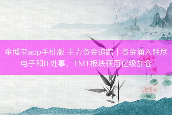 金博宝app手机版 主力资金追踪｜资金涌入耗尽电子和IT处事，TMT板块获百亿级加仓