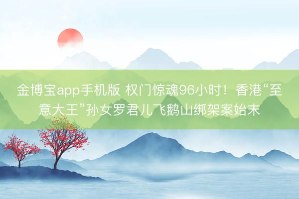 金博宝app手机版 权门惊魂96小时！香港“至意大王”孙女罗君儿飞鹅山绑架案始末