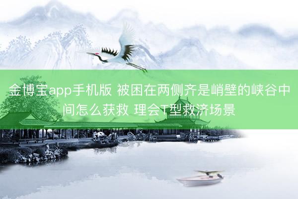 金博宝app手机版 被困在两侧齐是峭壁的峡谷中间怎么获救 理会T型救济场景