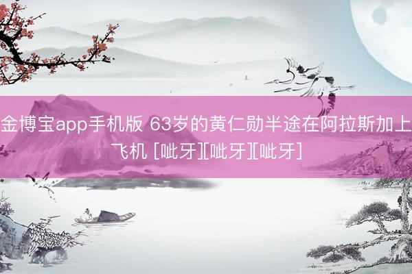 金博宝app手机版 63岁的黄仁勋半途在阿拉斯加上飞机 [呲牙][呲牙][呲牙]