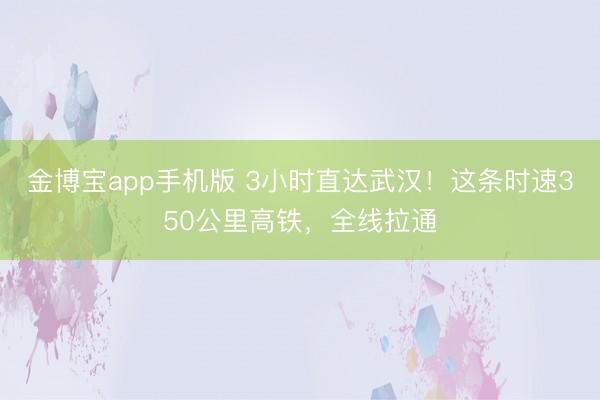 金博宝app手机版 3小时直达武汉！这条时速350公里高铁，全线拉通