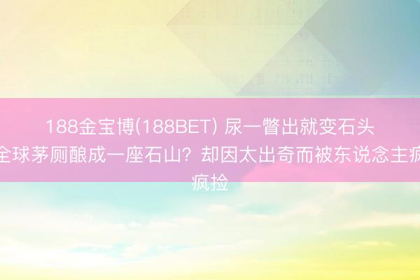 188金宝博(188BET) 尿一瞥出就变石头，全球茅厕酿成一座石山？却因太出奇而被东说念主疯捡