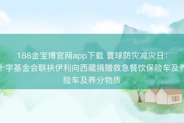 188金宝博官网app下载 寰球防灾减灾日：中国红十字基金会联袂伊利向西藏捐赠救急餐饮保险车及养分物质