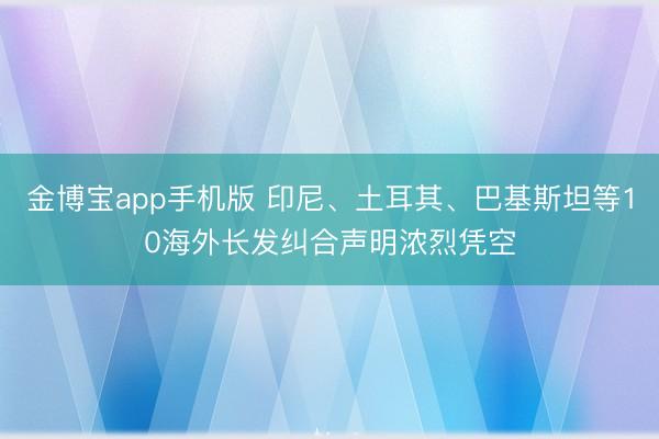 金博宝app手机版 印尼、土耳其、巴基斯坦等10海外长发纠合声明浓烈凭空